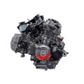 DBK Special Parts (Ducabike) Alternator Cover / Slider for Multistrada / Hypermotard V2 (2025+)